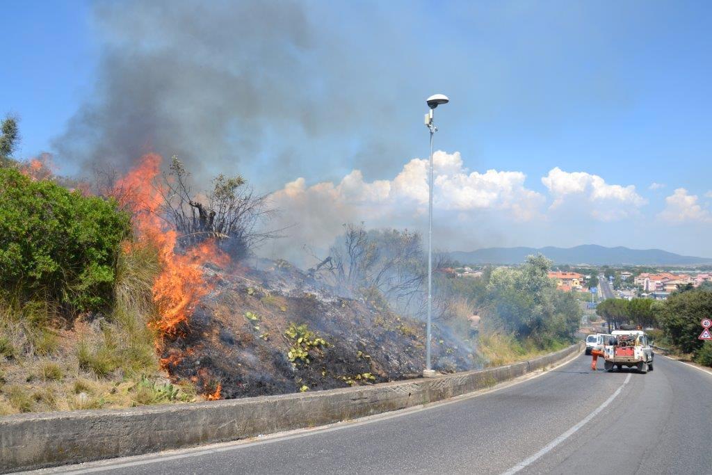 Incubo incendi in Maremma, palline da ping pong per innescare i roghi 