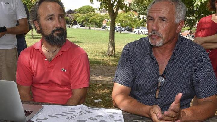 «Le auto? In sosta a sinistra Così si possono salvare i pini»