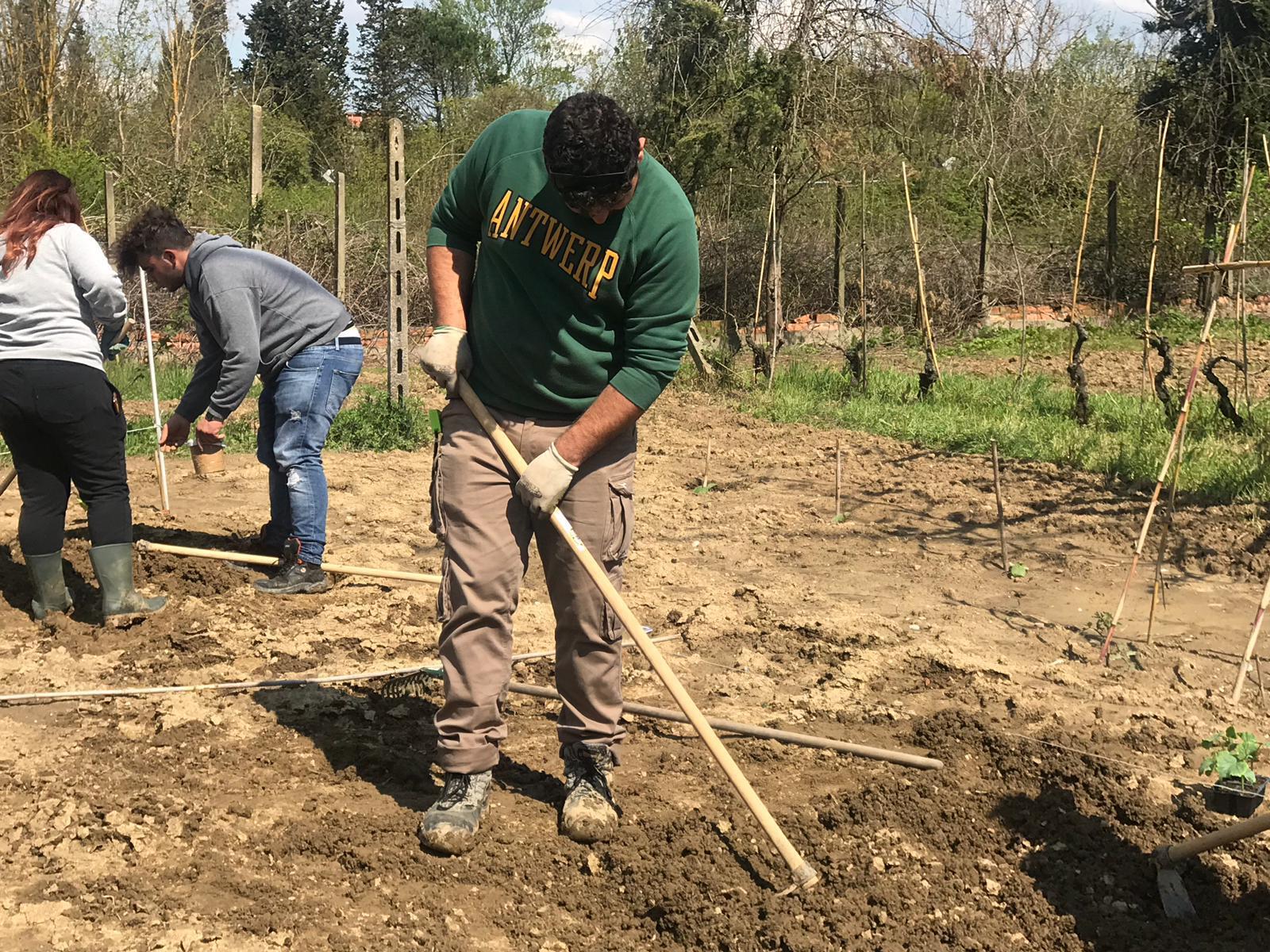 Giovani e agricoltura: formazione professionale per chi abbandona gli studi scolastici