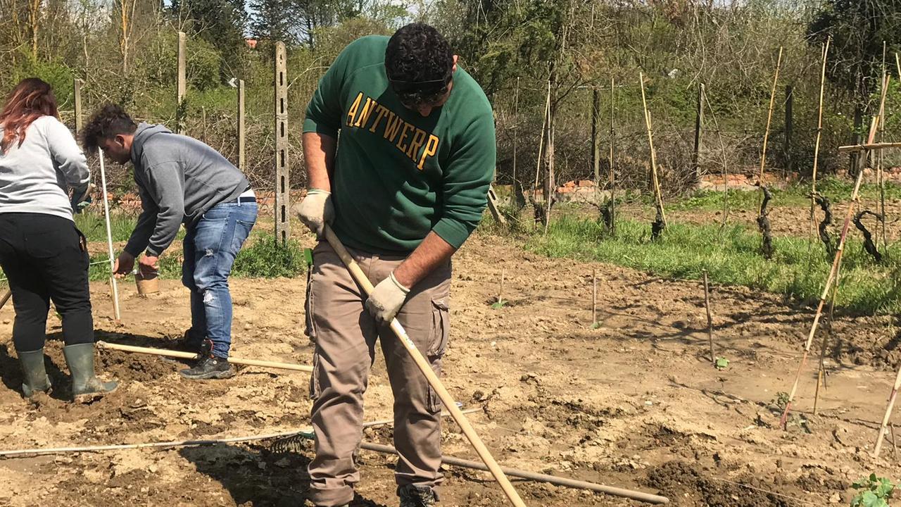Giovani e agricoltura: formazione professionale per chi abbandona gli studi scolastici