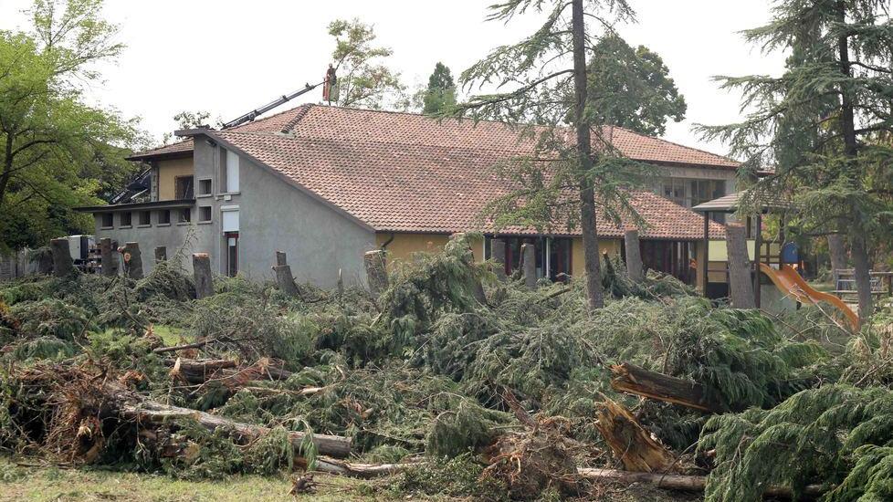 Abbattuti 33 alberi al Parco Veneri. I cittadini protestano, l’Ente ribatte: «Ne pianteremo 44»