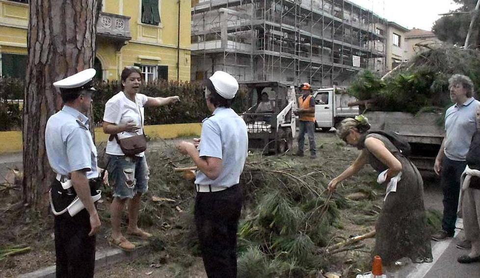 Studio di Legambiente: «Ecco tutte le strade in cui è sbagliato togliere i pini» 