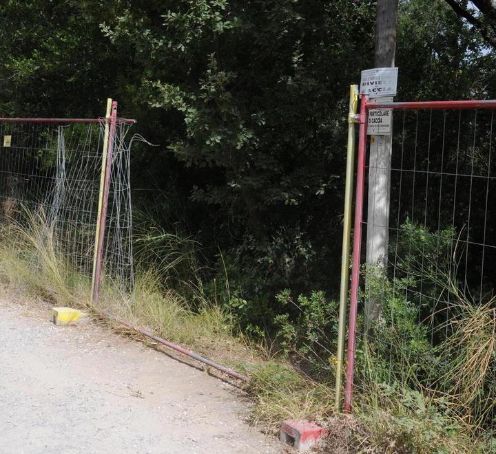 Agguato nel boschetto dello spaccio Ucciso a colpi di pistola un venticinquenne 
