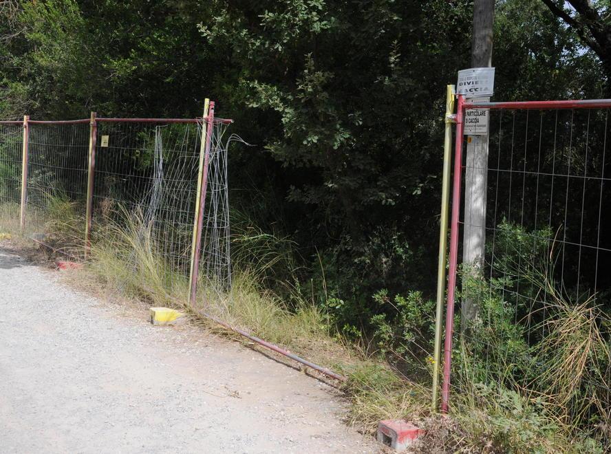 Agguato nel boschetto dello spaccio Ucciso a colpi di pistola un venticinquenne 
