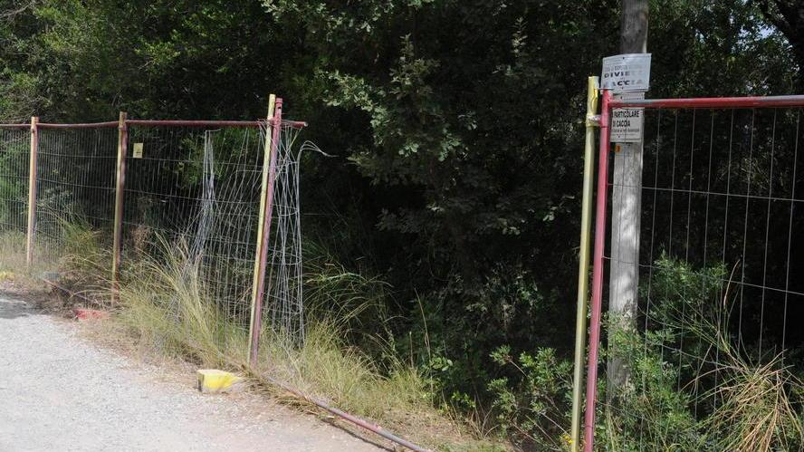 Agguato nel boschetto dello spaccio Ucciso a colpi di pistola un venticinquenne