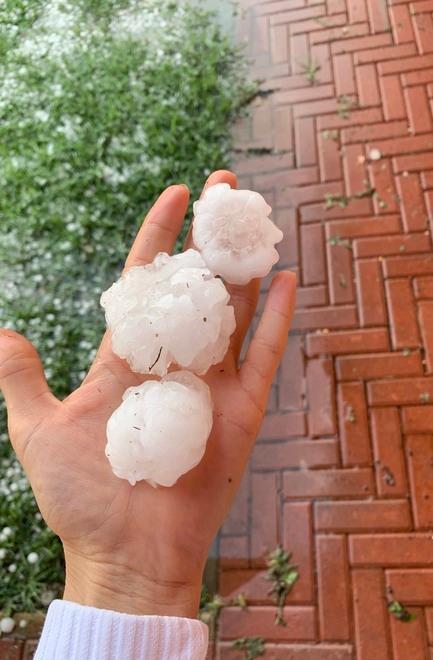I conti dopo le grandinate nel Ferrarese, danni ingenti all'agricoltura. E il meteo promette temperature più miti per Ferragosto