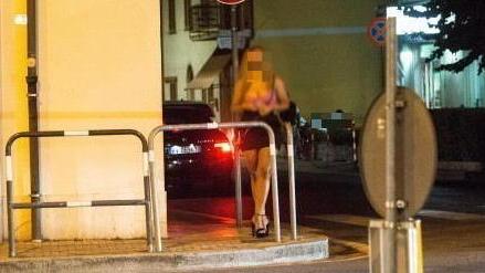 Le lucciole non lasciano Montecatini ma i controlli le hanno dimezzate
