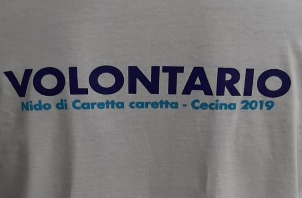Le magliette dei volontari
