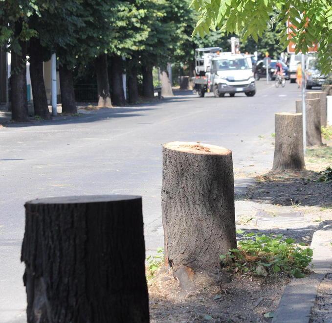 Via Firenze, tornerà il senso alternato 
