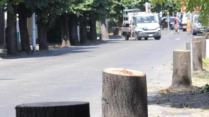 Via Firenze, tornerà il senso alternato