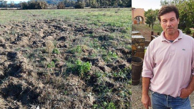 A sinistra un campo elbano messo sottosopra dal passaggio dei cinghiali. A destra, Dimitri Galletti