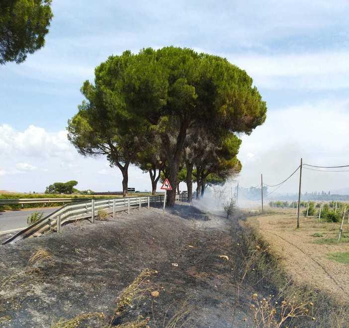 Fiamme e fumo lungo la 74 Paura sull’argine del Magione