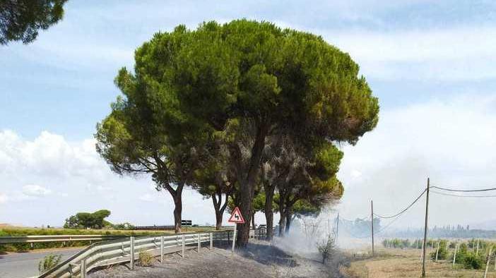 Fiamme e fumo lungo la 74 Paura sull’argine del Magione