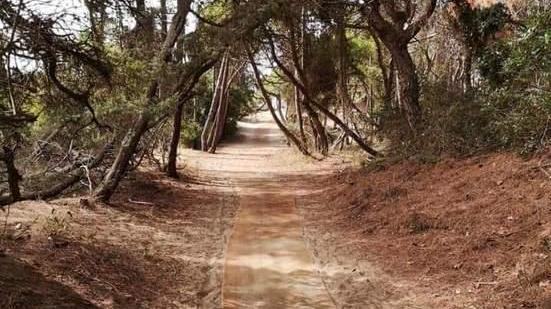 Spuntano le passerelle per l’accesso al mare «ma sono inadeguate»