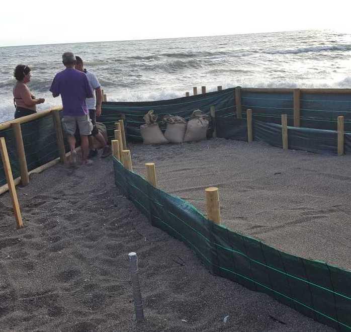 Le uova vicine alla schiusa «Fermate i fuochi d’artificio» 