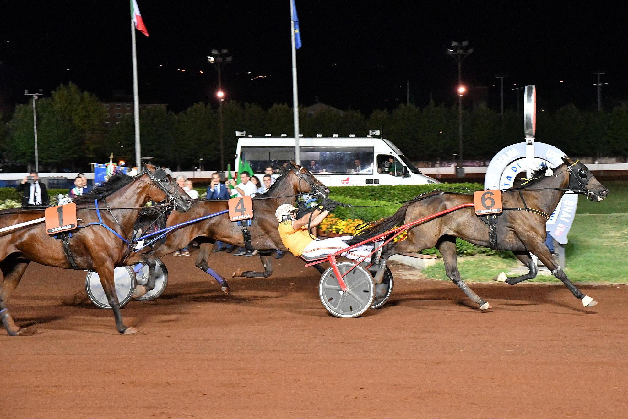 Ippica: Arazi Boko, figlio di Varenne, vince il Gran Premio Montecatini