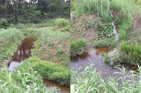 Il torrente Stella è diventato rosso (foto Arpat)
