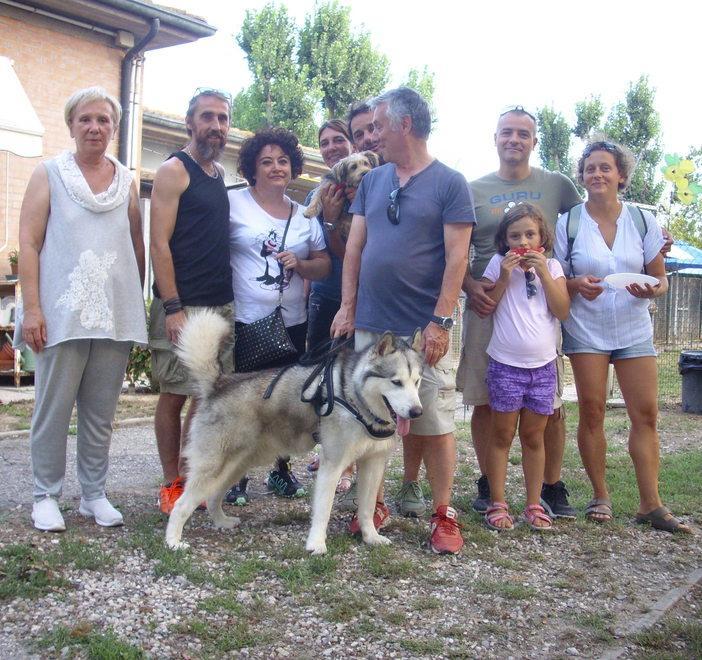 Sequestro di cani maltrattati. Nuovi ospiti in via Gramicia a Ferrara