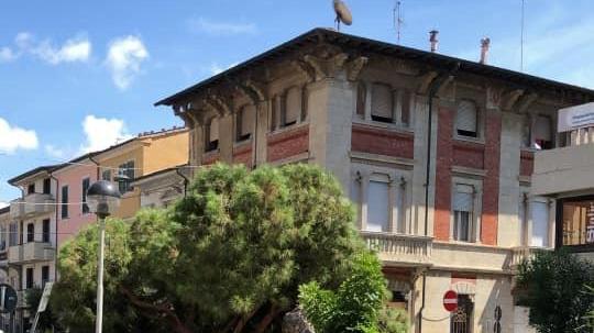 L'albero caduto davanti a San Paolino