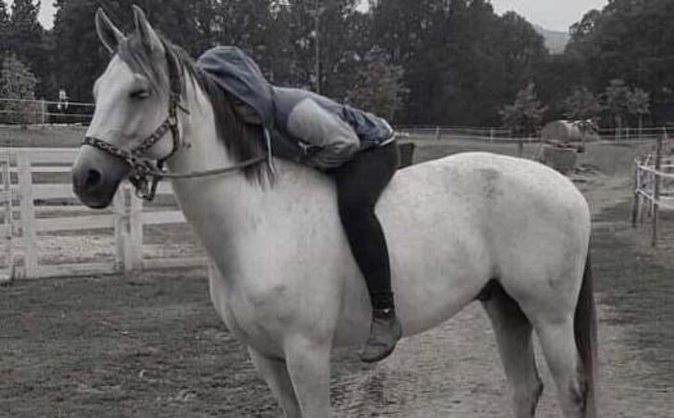 Urtata da un’auto, 19enne a cavallo cade e resta ferita. Il conducente non si ferma 