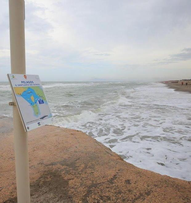 Batteri fecali sopra i limiti, l’acqua non è balneabile 