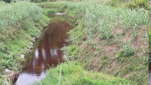 Allarme per l’acqua rossa comparsa nel torrente Stella 
