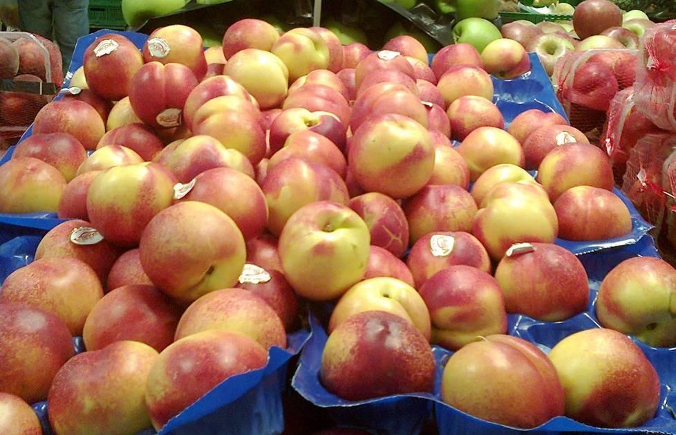 Frutta, prezzi in picchiata «Non conviene coltivare» 