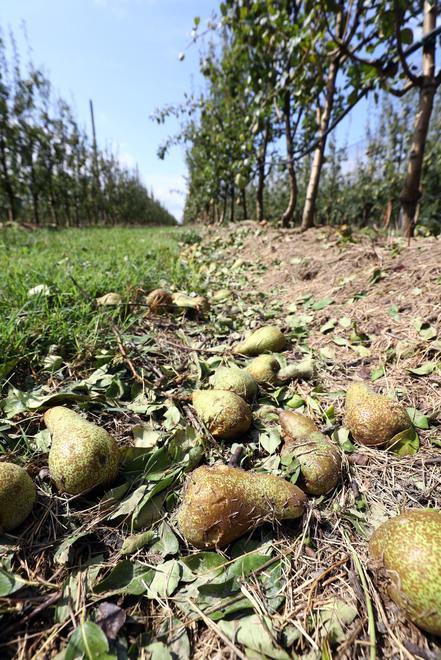 Finanziamenti Bper per i danni da maltempo