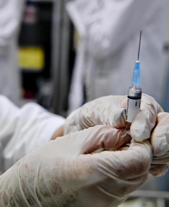 «Vaccini contro gli insetti La Maremma è penalizzata» 