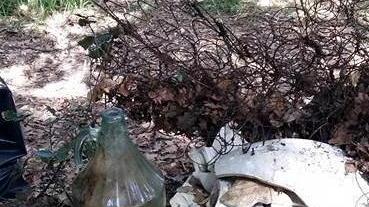 Le squadre dei cacciatori puliscono i boschi