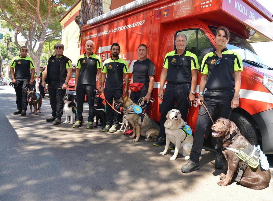Cagnolina premiata per i soccorsi ai feriti 