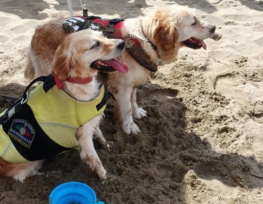 Cani bagnino e drone per l’esercitazione Cri