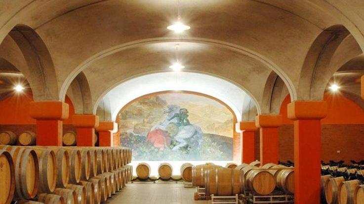 Tua Rita, i 25 anni del super rosso, la festa dedicata al Giusto di Notri
