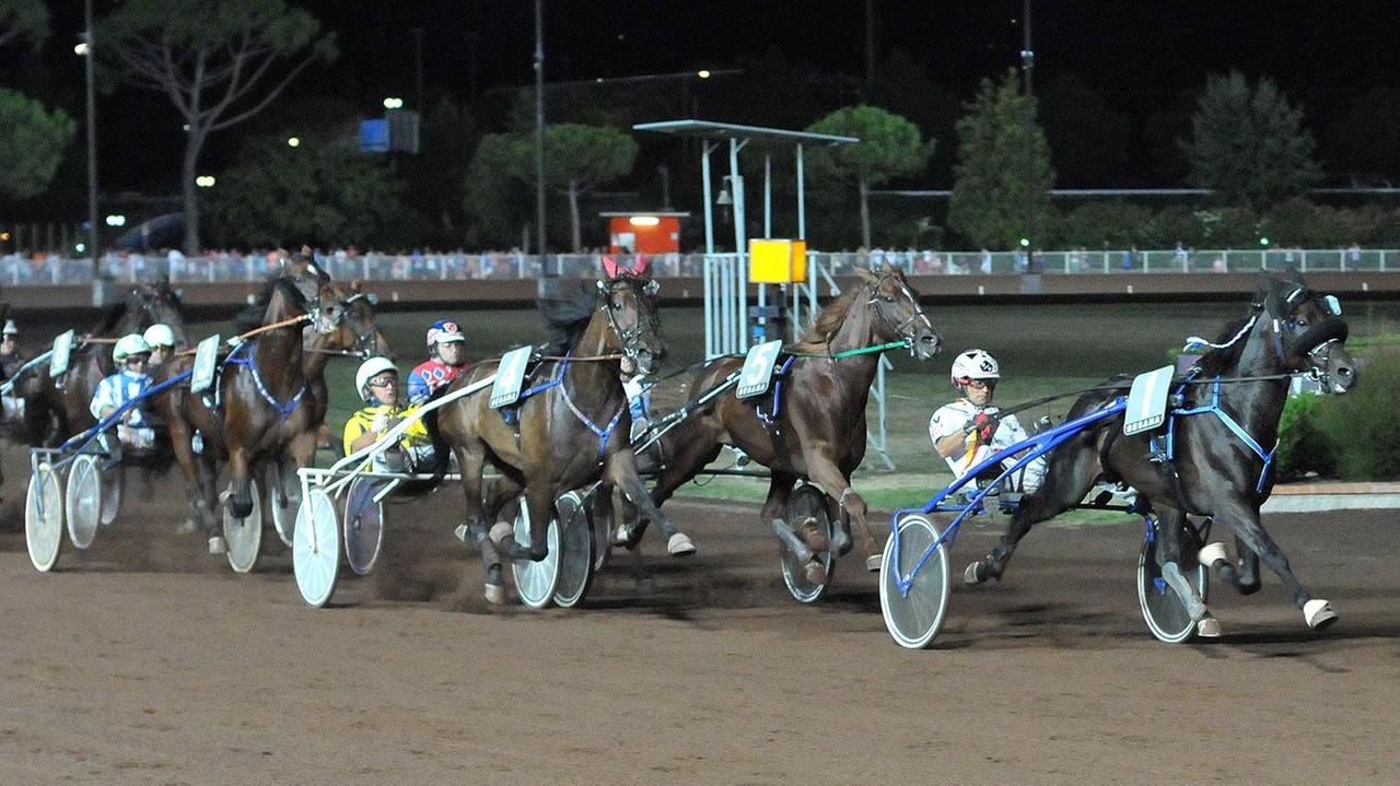 Arazi Boko, figlio di Varenne vince il Gp Città di Montecatini