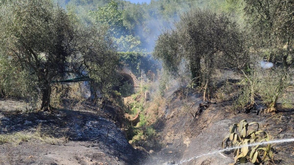 L’auto esce fuori strada e prende fuoco: illesi quattro giovani