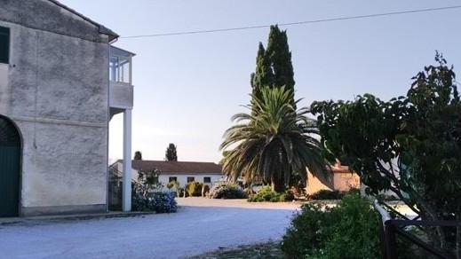 Uno scorcio delle aree interessate dai rilievi della squadra di Vigilanza edilizia del Comune di Piombino in località La Sdriscia