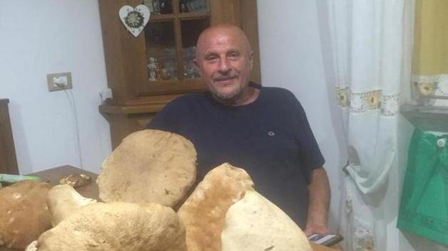 Raccolta da record: cinque chili di funghi