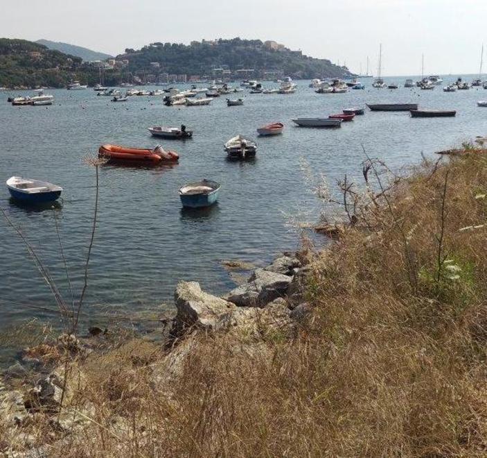 Barche abbandonate a Mola Il Comune dà l’ultimatum