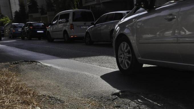 «Allargare l’aiuola centrale senza abbattere i pini»