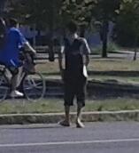 Tira rami ai passanti nel parco e poi prende a calci un cane