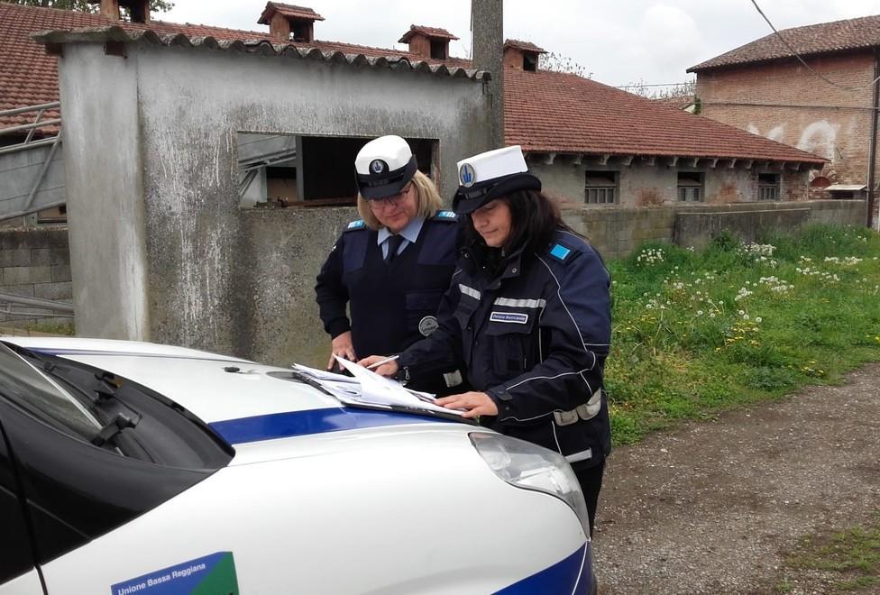 Controlli della polizia municipale nell'allevamento di suini di Sorbolo Levante