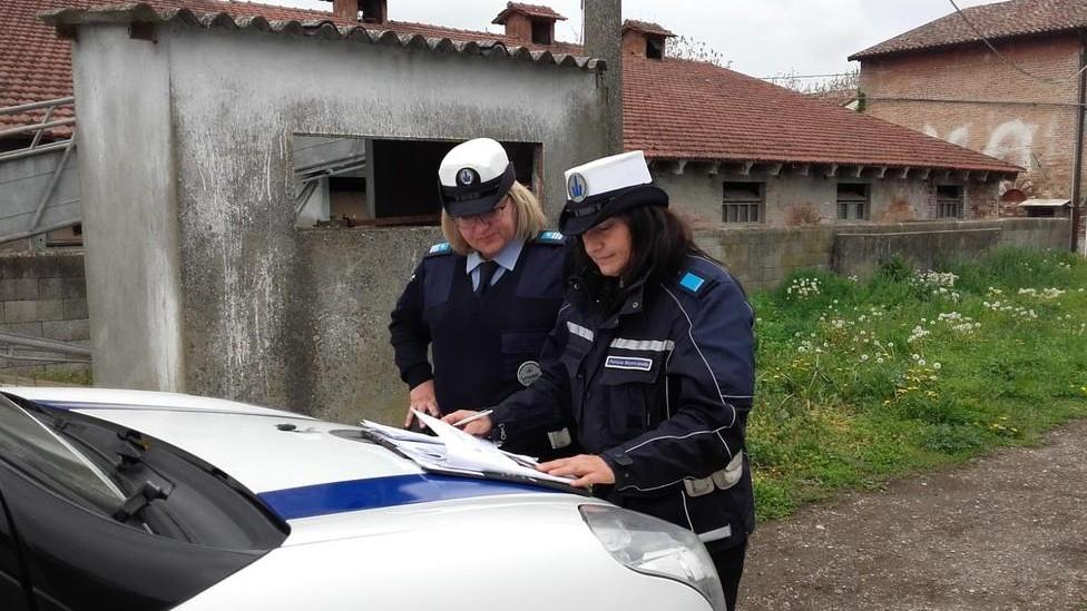 Controlli della polizia municipale nell'allevamento di suini di Sorbolo Levante
