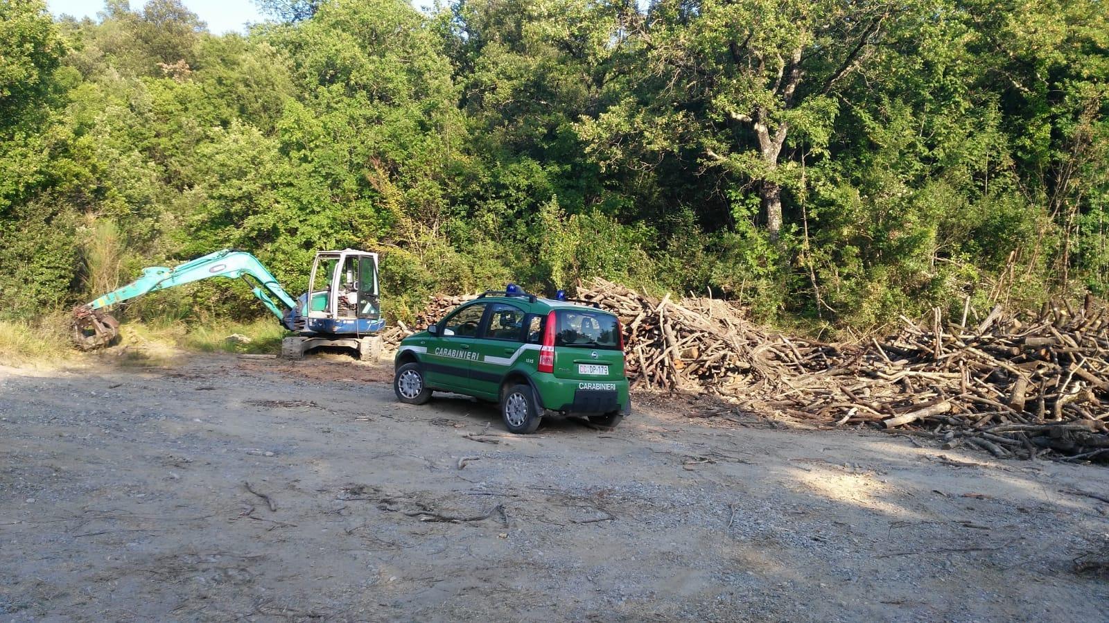 L'intervento dei carabinieri forestali per un taglio boschivo