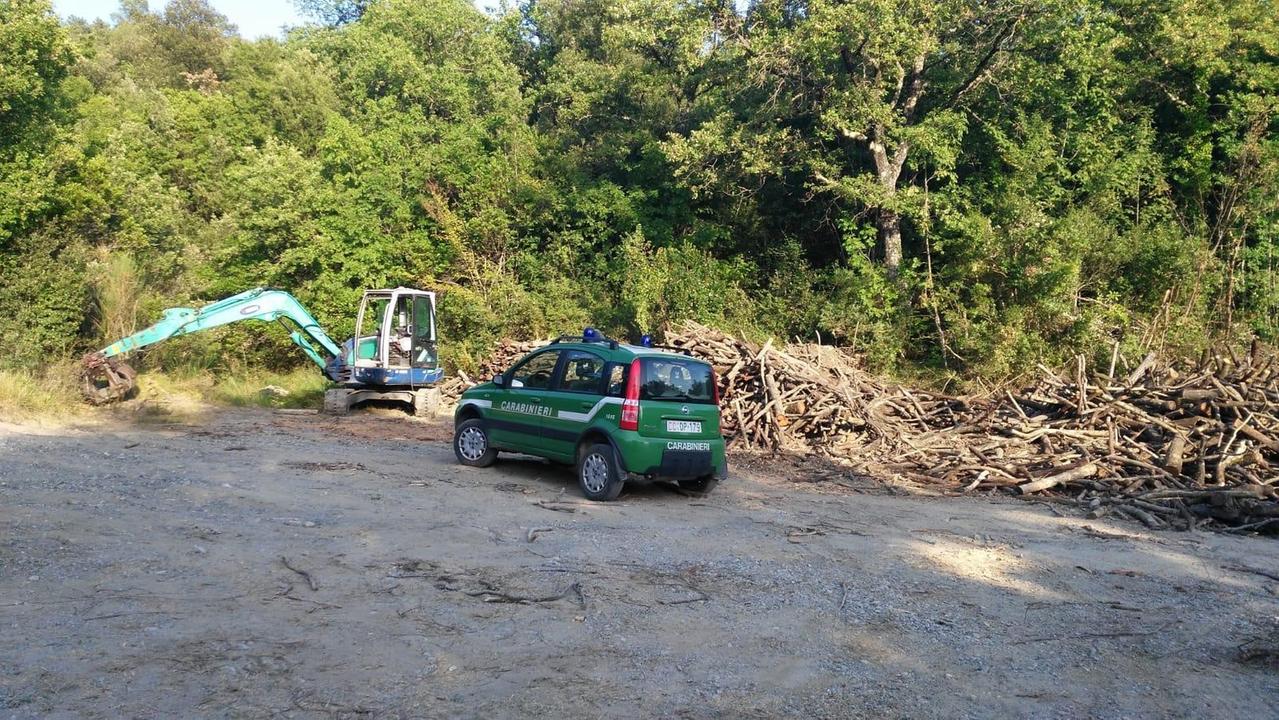 L'intervento dei carabinieri forestali per un taglio boschivo