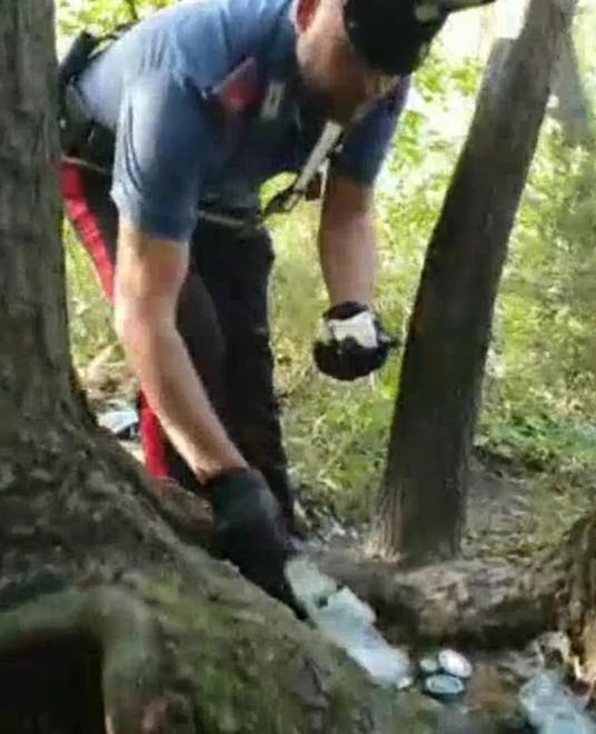 Gomitate ai carabinieri nel bosco per afferrare il coltello: arrestato 