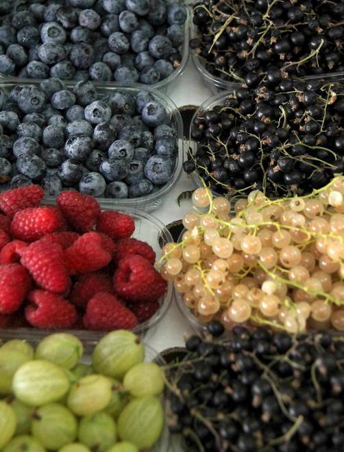 Lo spuntino è tutto bio con la frutta solidale che approda in riva al mare