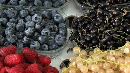 Lo spuntino è tutto bio con la frutta solidale che approda in riva al mare