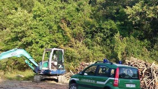 Denunciati due boscaioli senza autorizzazione