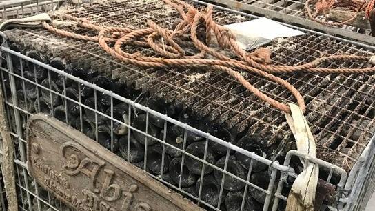 Il vino buono è in fondo al mar Mediterraneo l’etichetta ha il profumo degli “abissi”