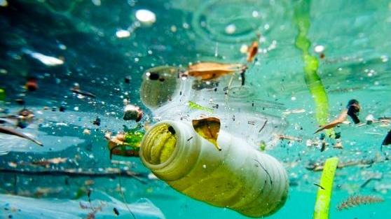 In pedalò sul litorale a pesca di ... plastica